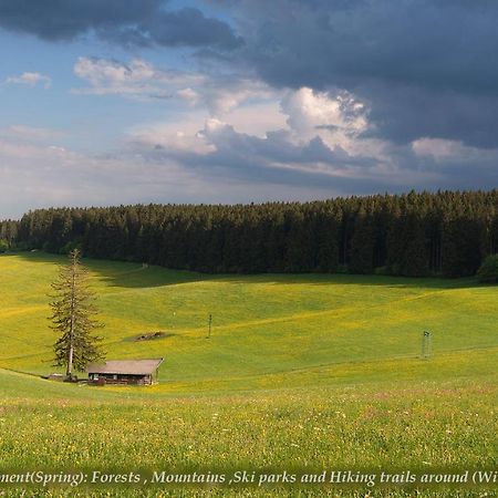 Entire House In Schwarzwald With Mountain View, Private Gym,Sauna And Garden Villa Unterkirnach Exterior photo